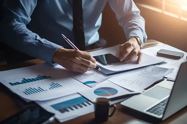 嘉兴哪里可以看海鸥旅游